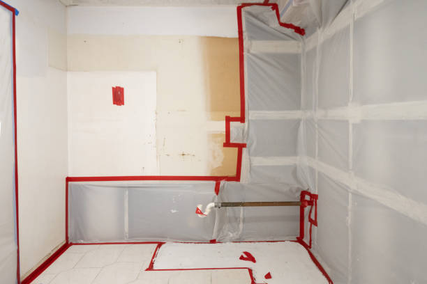 Best Attic Mold Removal  in West Hazleton, PA