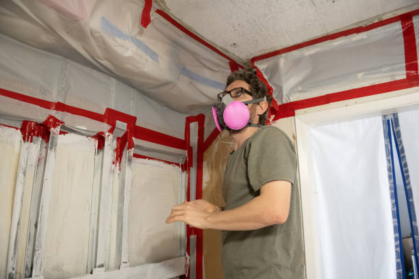 Best Commercial Mold Inspection  in West Hazleton, PA