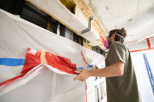 Best Basement Mold Removal  in West Hazleton, PA
