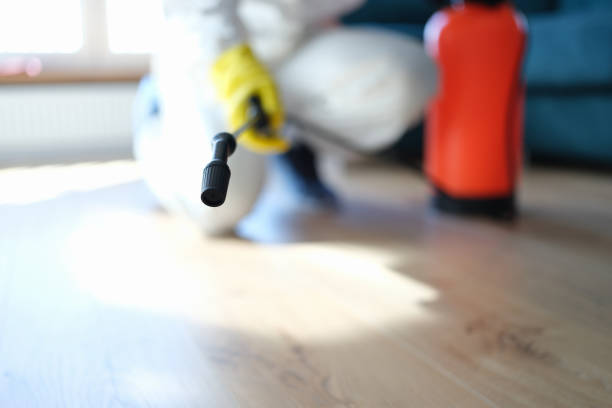 Best Mold Remediation for Healthcare Facilities  in West Hazleton, PA