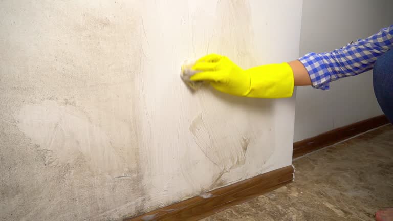 Best Biohazard Mold Removal  in West Hazleton, PA