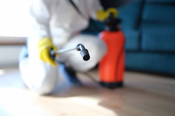 Best Forensic Mold Investigation  in West Hazleton, PA