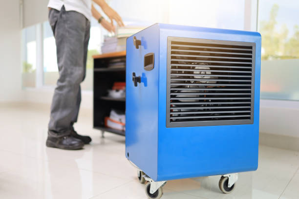Best Mold-Related Health Consultation  in West Hazleton, PA