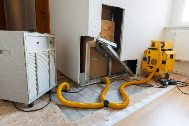 Best Dehumidification Services  in West Hazleton, PA