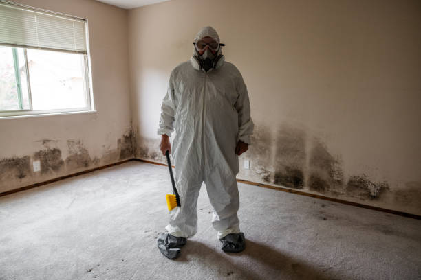 Best Asbestos and Lead Testing During Mold Inspection  in West Hazleton, PA