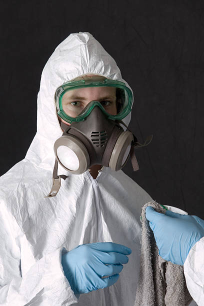 Best Mold Odor Removal Services  in West Hazleton, PA